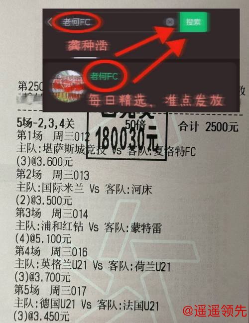 免费获取世界杯盘口投注信息指南