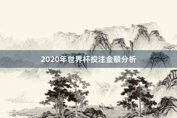 2020年世界杯投注金额分析